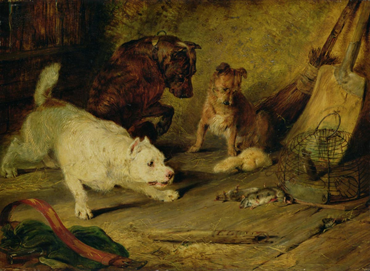 Landseer, Sir Edwin