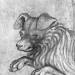 Head of a dog, from the The Vallardi Album